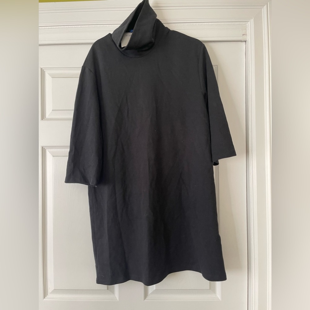 ZARA L Turtleneck Black Dress/tunic